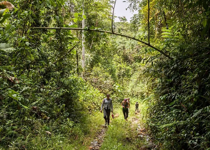 Kuporo Lodge Quince Mil